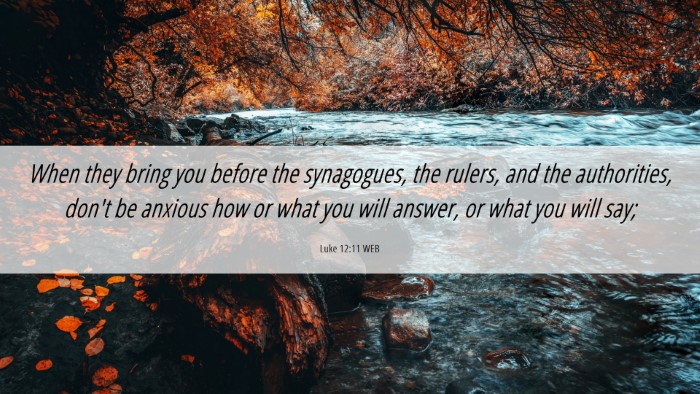 Picture 06 - Luke 12:11 WEB Desktop Wallpaper - When they bring you before the synagogues, the - Desktop Bible Verse Wallpaper