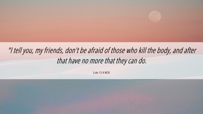 Picture 06 - Luke 12:4 WEB Desktop Wallpaper - 