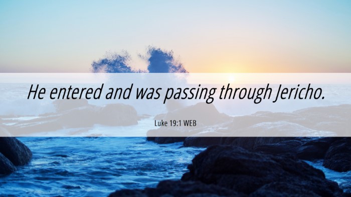 Picture 06 - Luke 19:1 WEB Desktop Wallpaper - He entered and was passing through - Desktop Bible Verse Wallpaper