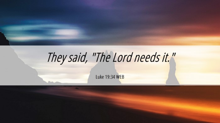 Picture 06 - Luke 19:34 WEB Desktop Wallpaper - They said, 