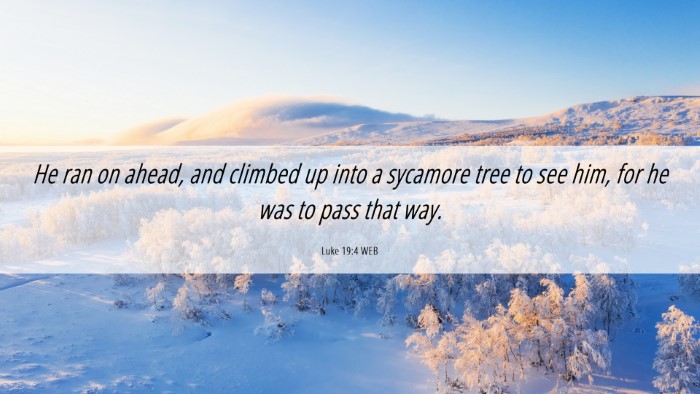 Picture 06 - Luke 19:4 WEB Desktop Wallpaper - He ran on ahead, and climbed up into a sycamore - Desktop Bible Verse Wallpaper