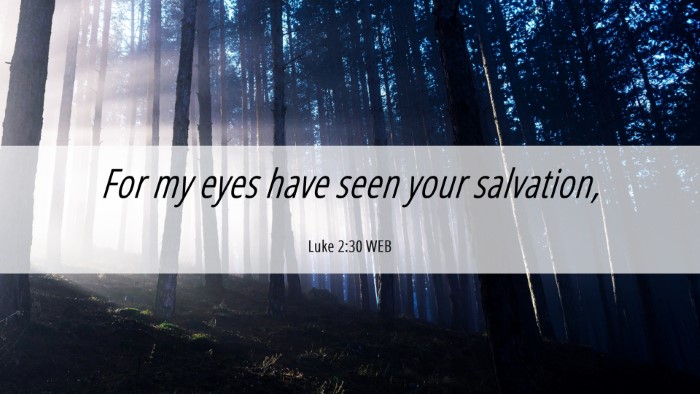 Picture 06 - Luke 2:30 WEB Desktop Wallpaper - For my eyes have seen your - Desktop Bible Verse Wallpaper