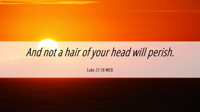 Picture 06 - Luke 21:18 WEB Desktop Wallpaper - And not a hair of your head will - Desktop Bible Verse Wallpaper