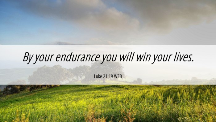Picture 06 - Luke 21:19 WEB Desktop Wallpaper - By your endurance you will win your - Desktop Bible Verse Wallpaper