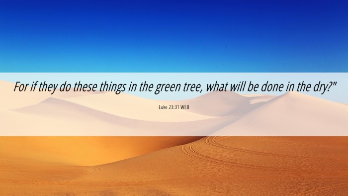 Picture 06 - Luke 23:31 WEB Desktop Wallpaper - For if they do these things in the green tree, - Desktop Bible Verse Wallpaper