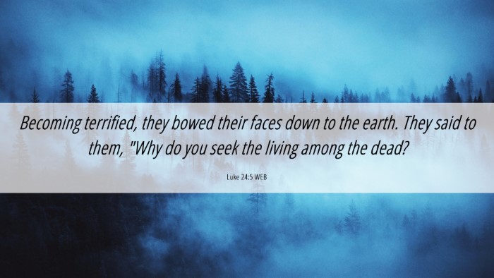 Picture 06 - Luke 24:5 WEB Desktop Wallpaper - Becoming terrified, they bowed their faces down - Desktop Bible Verse Wallpaper