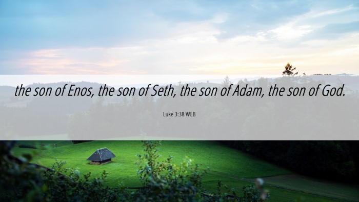 Picture 06 - Luke 3:38 WEB Desktop Wallpaper - the son of Enos, the son of Seth, the son of - Desktop Bible Verse Wallpaper