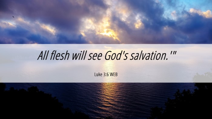 Picture 06 - Luke 3:6 WEB Desktop Wallpaper - All flesh will see God's - Desktop Bible Verse Wallpaper