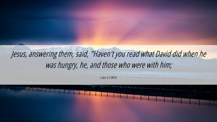 Picture 06 - Luke 6:3 WEB Desktop Wallpaper - Jesus, answering them, said, 