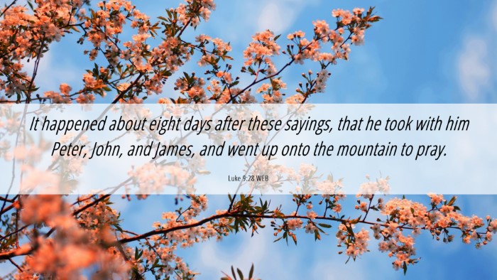 Picture 06 - Luke 9:28 WEB Desktop Wallpaper - It happened about eight days after these sayings, - Desktop Bible Verse Wallpaper