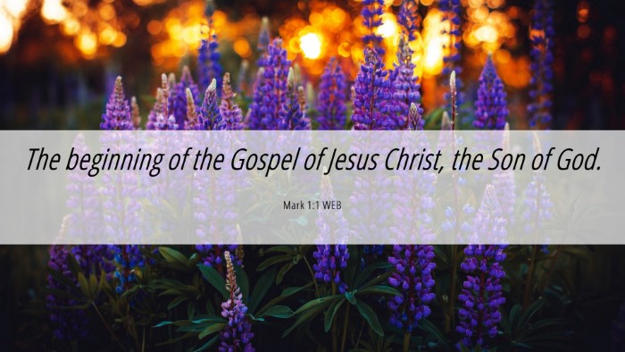 Picture 06 - Mark 1:1 WEB Desktop Wallpaper - The beginning of the Gospel of Jesus Christ, the - Desktop Bible Verse Wallpaper