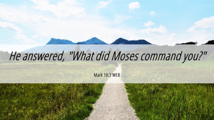 Picture 06 - Mark 10:3 WEB Desktop Wallpaper - He answered, 