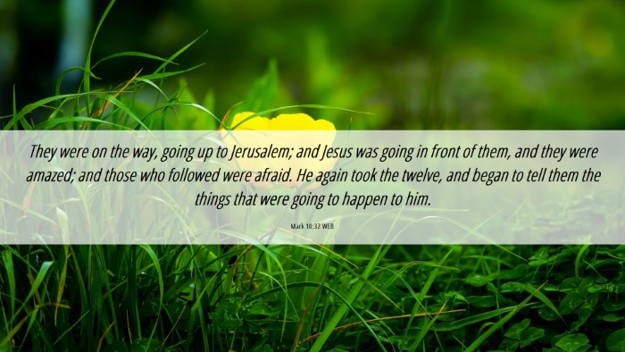 Picture 06 - Mark 10:32 WEB Desktop Wallpaper - They were on the way, going up to Jerusalem; and - Desktop Bible Verse Wallpaper