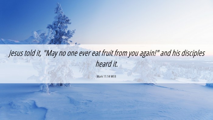 Picture 06 - Mark 11:14 WEB Desktop Wallpaper - Jesus told it, 