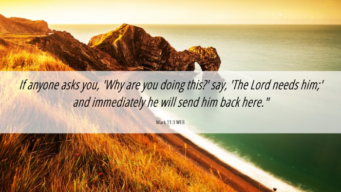 Picture 06 - Mark 11:3 WEB Desktop Wallpaper - If anyone asks you, 'Why are you doing this?' - Desktop Bible Verse Wallpaper