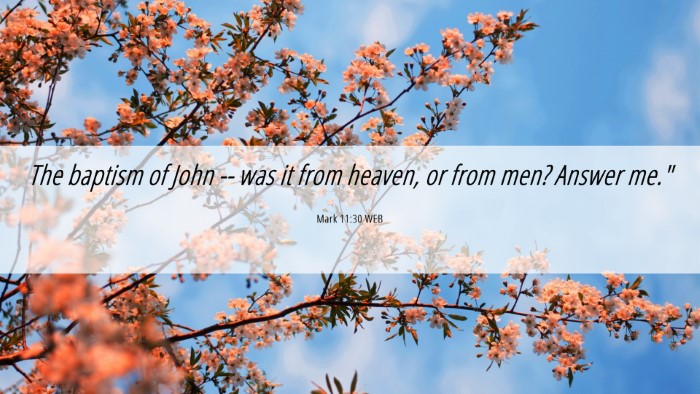 Picture 06 - Mark 11:30 WEB Desktop Wallpaper - The baptism of John -- was it from heaven, or - Desktop Bible Verse Wallpaper