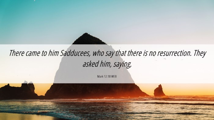 Picture 06 - Mark 12:18 WEB Desktop Wallpaper - There came to him Sadducees, who say that there - Desktop Bible Verse Wallpaper