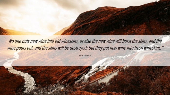 Picture 06 - Mark 2:22 WEB Desktop Wallpaper - No one puts new wine into old wineskins, or else - Desktop Bible Verse Wallpaper