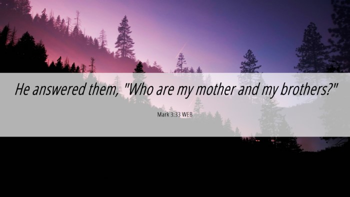 Picture 06 - Mark 3:33 WEB Desktop Wallpaper - He answered them, 