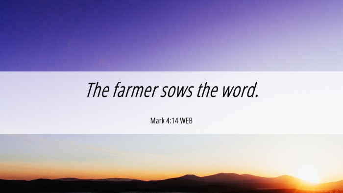 Picture 06 - Mark 4:14 WEB Desktop Wallpaper - The farmer sows the - Desktop Bible Verse Wallpaper
