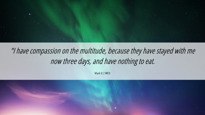 Picture 06 - Mark 8:2 WEB Desktop Wallpaper - 