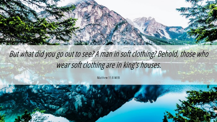 Picture 06 - Matthew 11:8 WEB Desktop Wallpaper - But what did you go out to see? A man in soft - Desktop Bible Verse Wallpaper