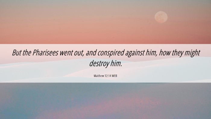 Picture 06 - Matthew 12:14 WEB Desktop Wallpaper - But the Pharisees went out, and conspired against - Desktop Bible Verse Wallpaper