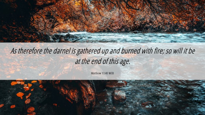 Picture 06 - Matthew 13:40 WEB Desktop Wallpaper - As therefore the darnel is gathered up and burned - Desktop Bible Verse Wallpaper