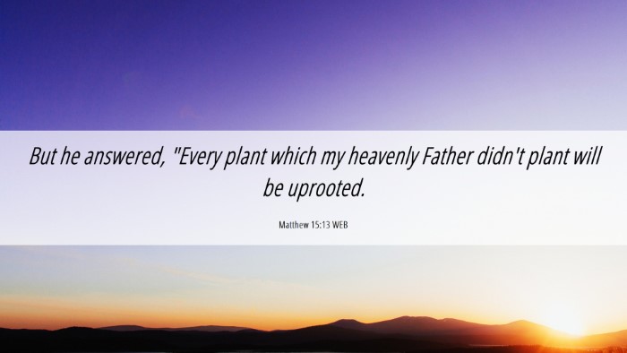 Picture 06 - Matthew 15:13 WEB Desktop Wallpaper - But he answered, 