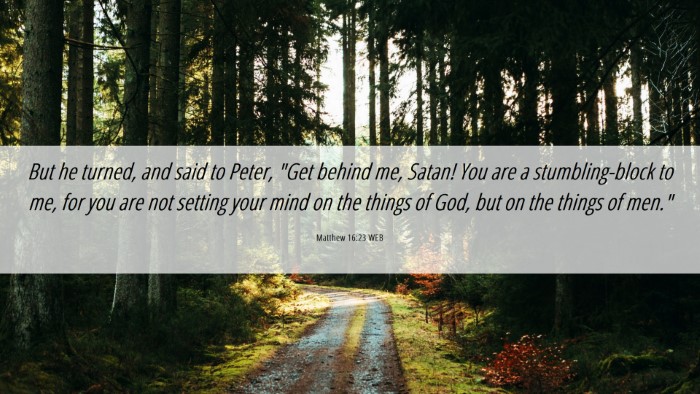 Picture 06 - Matthew 16:23 WEB Desktop Wallpaper - But he turned, and said to Peter, 