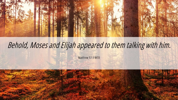 Picture 06 - Matthew 17:3 WEB Desktop Wallpaper - Behold, Moses and Elijah appeared to them talking - Desktop Bible Verse Wallpaper