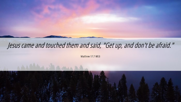 Picture 06 - Matthew 17:7 WEB Desktop Wallpaper - Jesus came and touched them and said, 