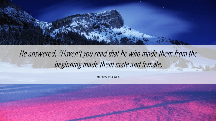Picture 06 - Matthew 19:4 WEB Desktop Wallpaper - He answered, 