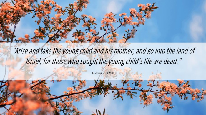 Picture 06 - Matthew 2:20 WEB Desktop Wallpaper - 