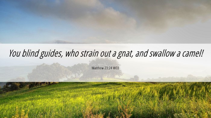 Picture 06 - Matthew 23:24 WEB Desktop Wallpaper - You blind guides, who strain out a gnat, and - Desktop Bible Verse Wallpaper