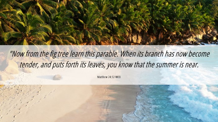 Picture 06 - Matthew 24:32 WEB Desktop Wallpaper - 