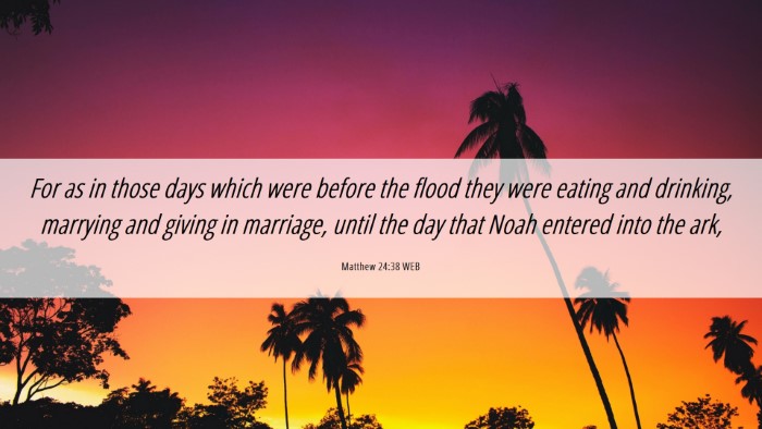Picture 06 - Matthew 24:38 WEB Desktop Wallpaper - For as in those days which were before the flood - Desktop Bible Verse Wallpaper