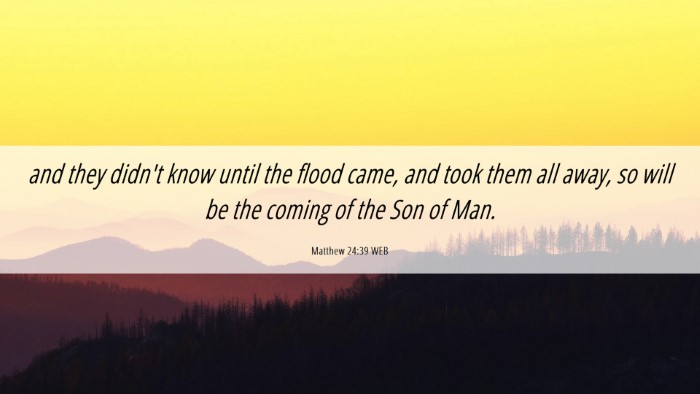Picture 06 - Matthew 24:39 WEB Desktop Wallpaper - and they didn't know until the flood came, and - Desktop Bible Verse Wallpaper