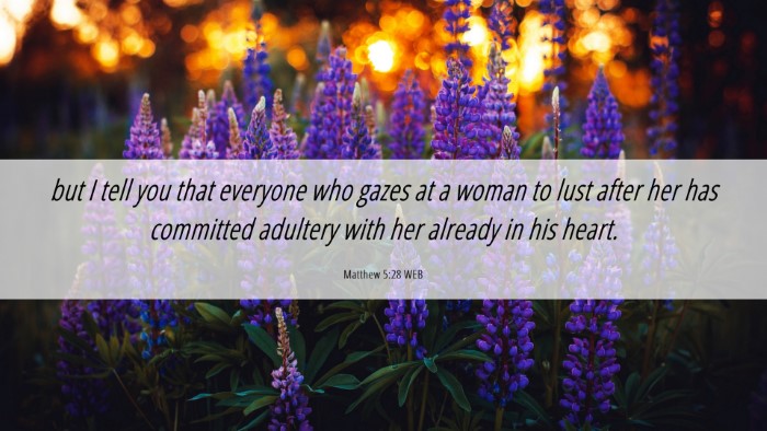 Picture 06 - Matthew 5:28 WEB Desktop Wallpaper - but I tell you that everyone who gazes at a woman - Desktop Bible Verse Wallpaper
