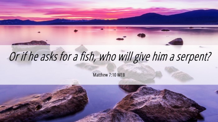 Picture 06 - Matthew 7:10 WEB Desktop Wallpaper - Or if he asks for a fish, who will give him a - Desktop Bible Verse Wallpaper