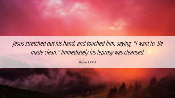 Picture 06 - Matthew 8:3 WEB Desktop Wallpaper - Jesus stretched out his hand, and touched him, - Desktop Bible Verse Wallpaper