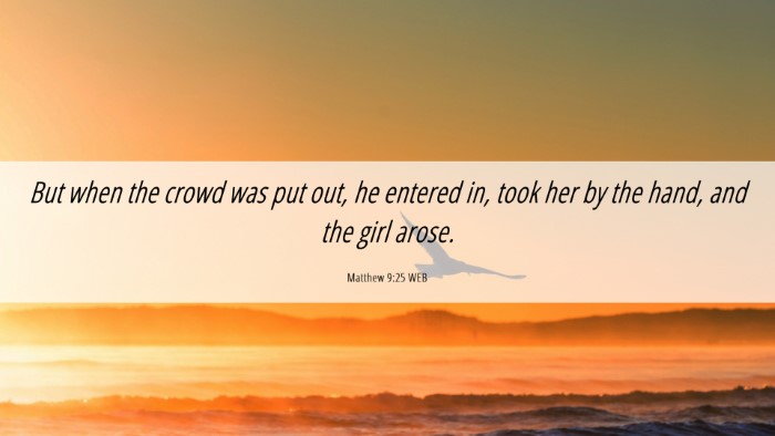 Picture 06 - Matthew 9:25 WEB Desktop Wallpaper - But when the crowd was put out, he entered in, - Desktop Bible Verse Wallpaper