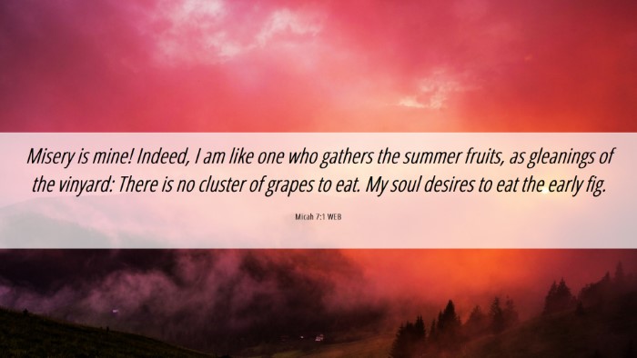 Picture 06 - Micah 7:1 WEB Desktop Wallpaper - Misery is mine! Indeed, I am like one who gathers - Desktop Bible Verse Wallpaper