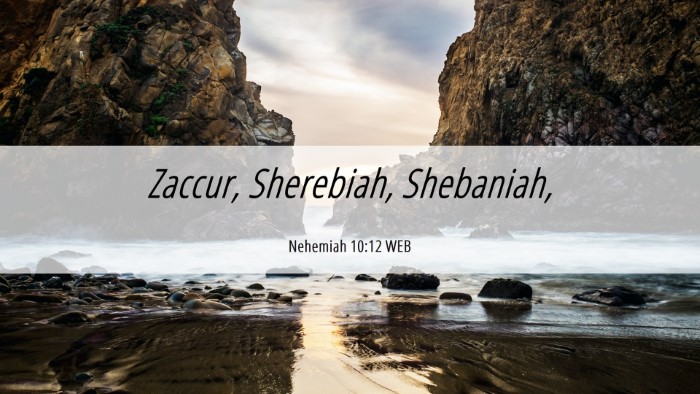 Picture 06 - Nehemiah 10:12 WEB Desktop Wallpaper - Zaccur, Sherebiah, - Desktop Bible Verse Wallpaper