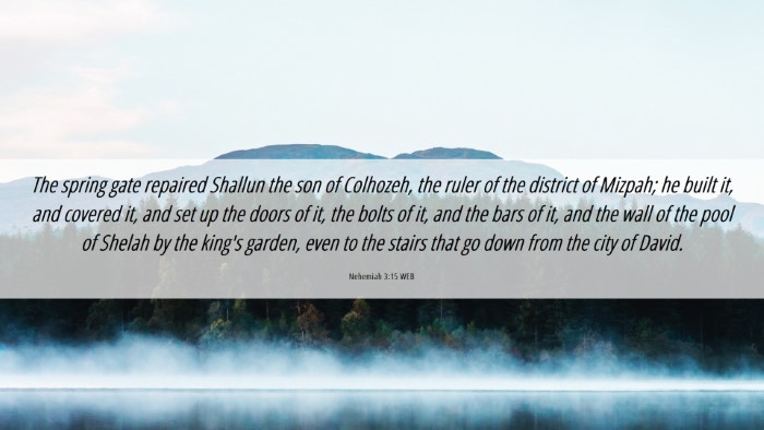Picture 06 - Nehemiah 3:15 WEB Desktop Wallpaper - The spring gate repaired Shallun the son of - Desktop Bible Verse Wallpaper