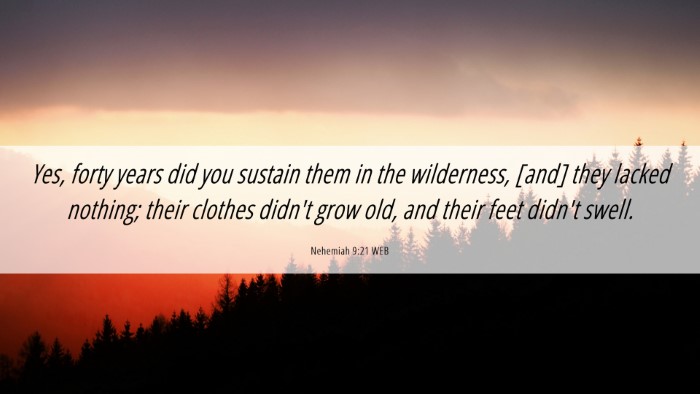 Picture 06 - Nehemiah 9:21 WEB Desktop Wallpaper - Yes, forty years did you sustain them in the - Desktop Bible Verse Wallpaper