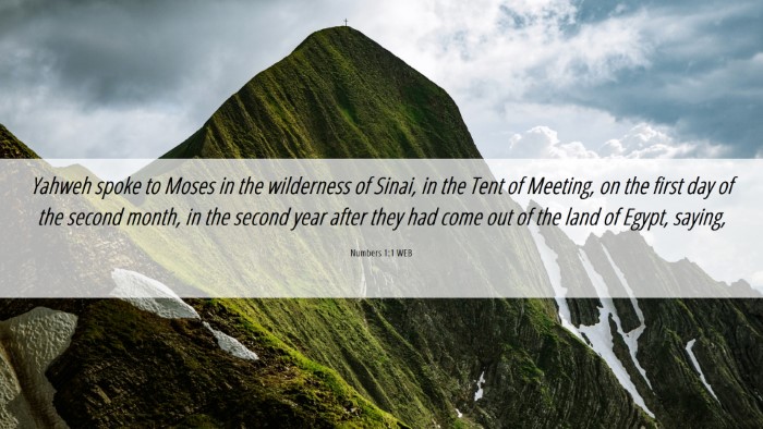 Picture 06 - Numbers 1:1 WEB Desktop Wallpaper - Yahweh spoke to Moses in the wilderness of Sinai, - Desktop Bible Verse Wallpaper