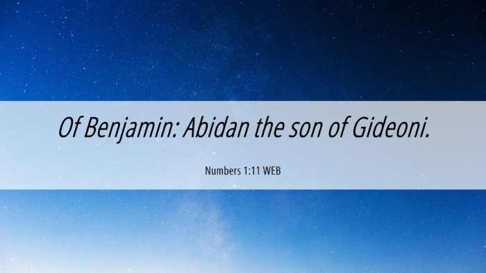 Picture 06 - Numbers 1:11 WEB Desktop Wallpaper - Of Benjamin: Abidan the son of - Desktop Bible Verse Wallpaper