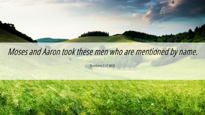 Picture 06 - Numbers 1:17 WEB Desktop Wallpaper - Moses and Aaron took these men who are mentioned - Desktop Bible Verse Wallpaper
