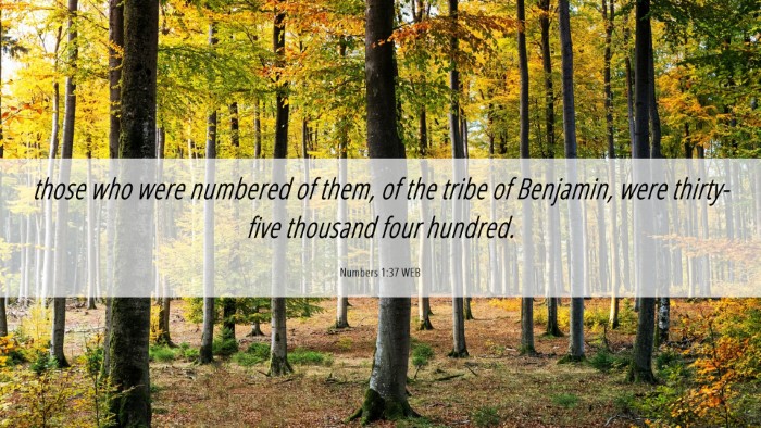 Picture 06 - Numbers 1:37 WEB Desktop Wallpaper - those who were numbered of them, of the tribe of - Desktop Bible Verse Wallpaper